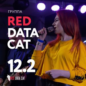 Техническое обслуживание концерта группы Red Data Cat